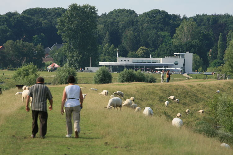 Fietsen rond het meer?