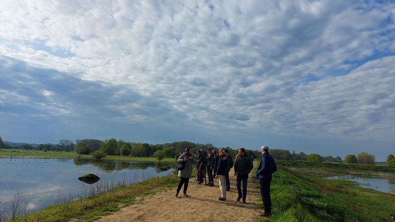 102 vogelsoorten geteld tijdens 24-uur van Schulensbroek