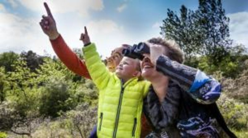 24 uur vogels spotten in het Schulensbroek (34e editie)