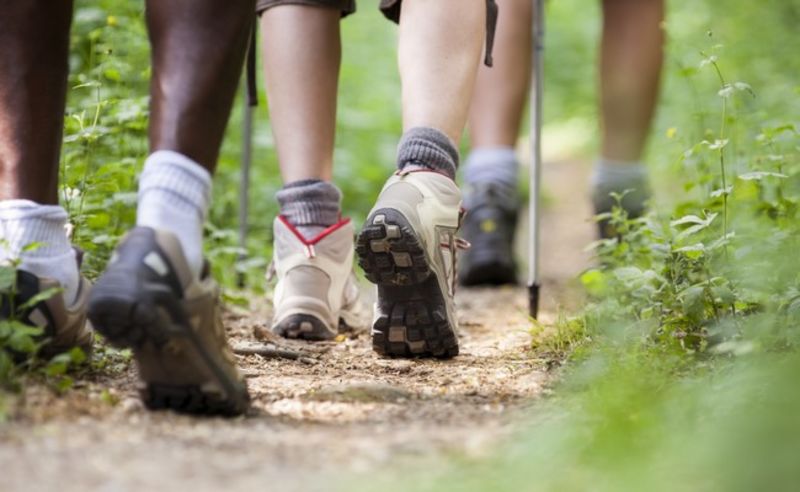 Wintergasten: wandelpaden gedeeltelijk afgesloten