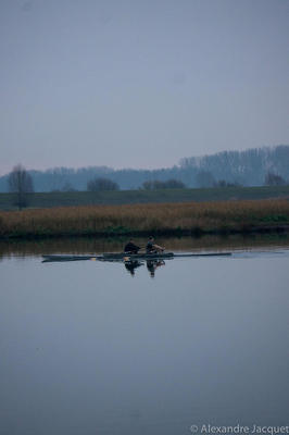 Roeien (Start To Row, lidmaatschap, Roeikamp)