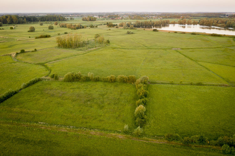 Schulensbroek