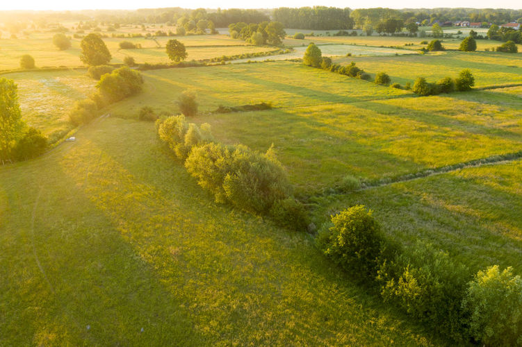 Schulensbroek