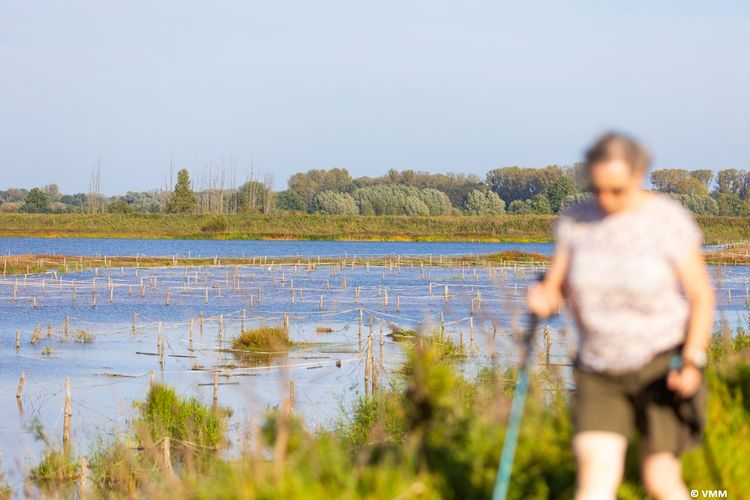 Wandelen