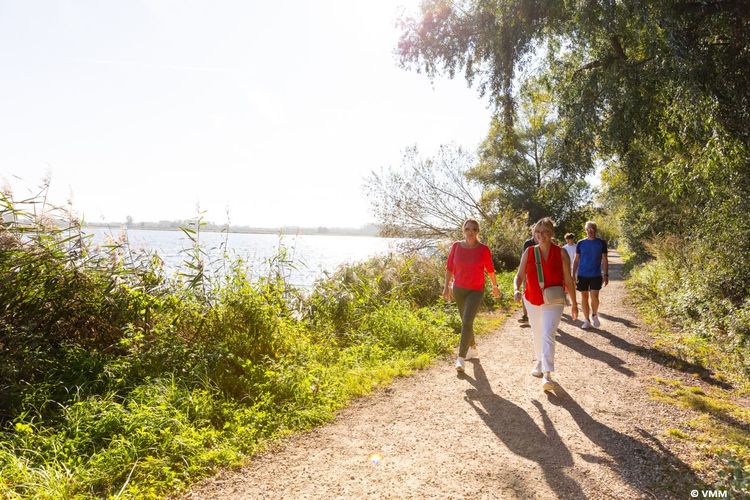 Wandelen